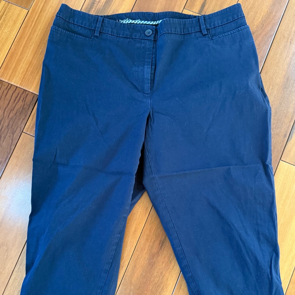 Women's Talbots Perfect Skimmer Blue Size 18W